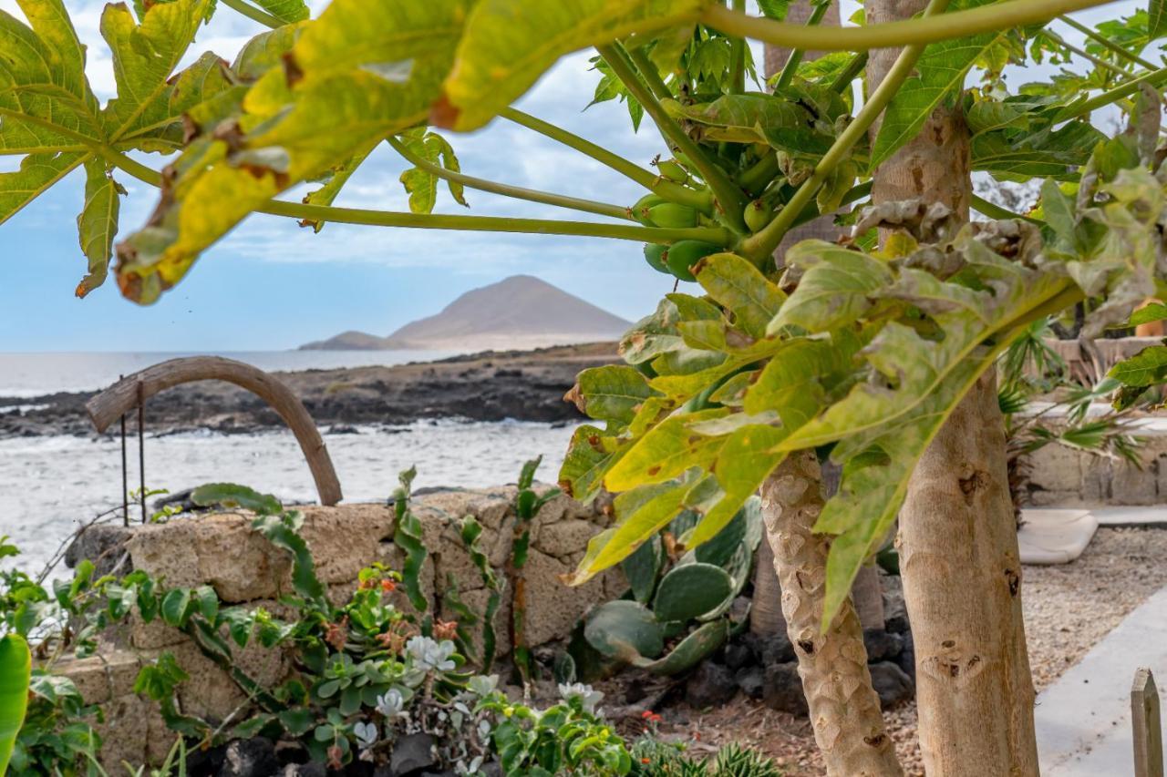 Little Paradise In El Medano 2 Granadilla De Abona Dış mekan fotoğraf