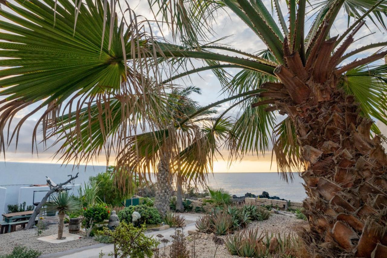 Little Paradise In El Medano 2 Granadilla De Abona Dış mekan fotoğraf