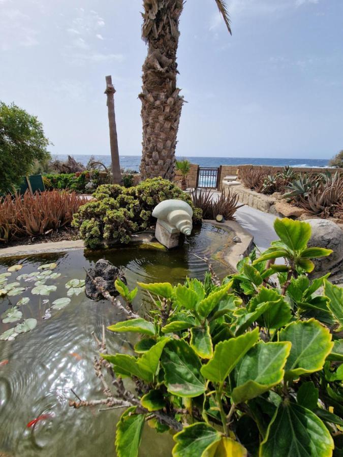 Little Paradise In El Medano 2 Granadilla De Abona Dış mekan fotoğraf